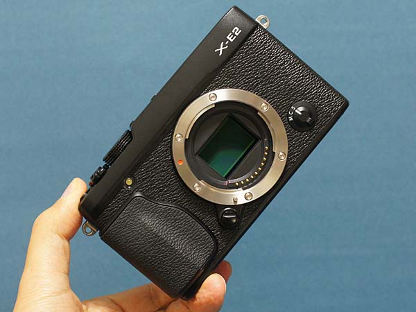 富士フイルム FUJIFILM X-E2の描写力をチェック EVF内蔵ミラーレス