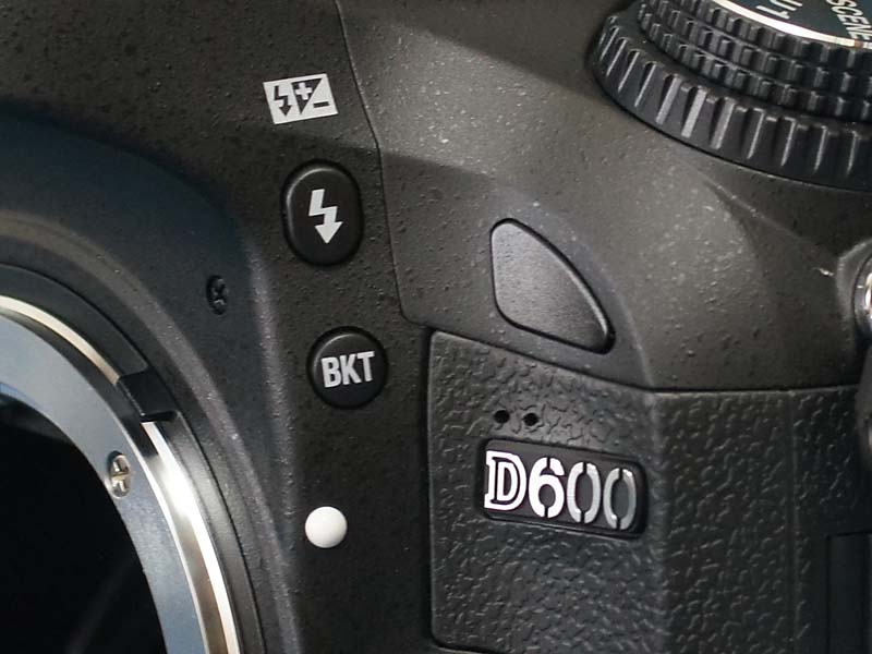 Nikon D600