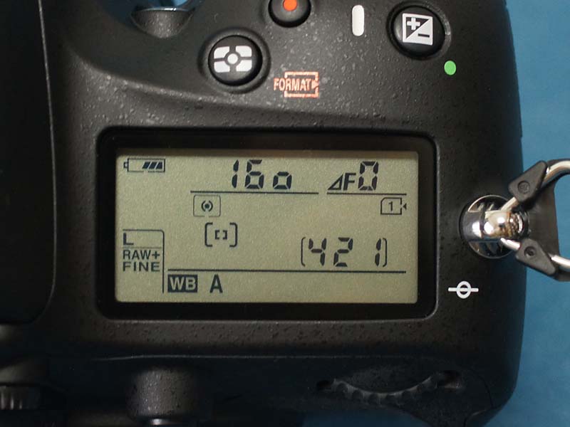 Nikon D600