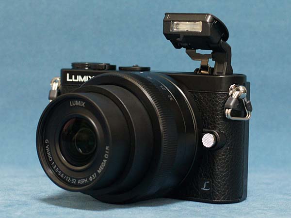 Panasonic LUMIX DMC-GM