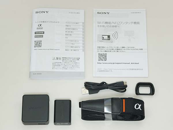 SONY α6000