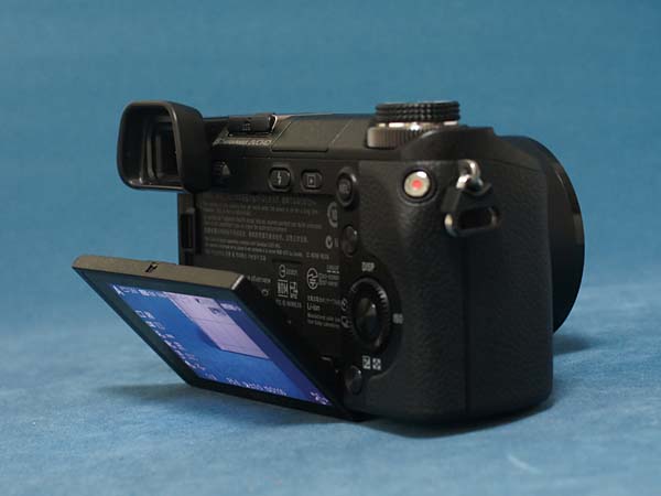 SONY NEX-6