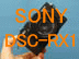 SONY DSC-RX1